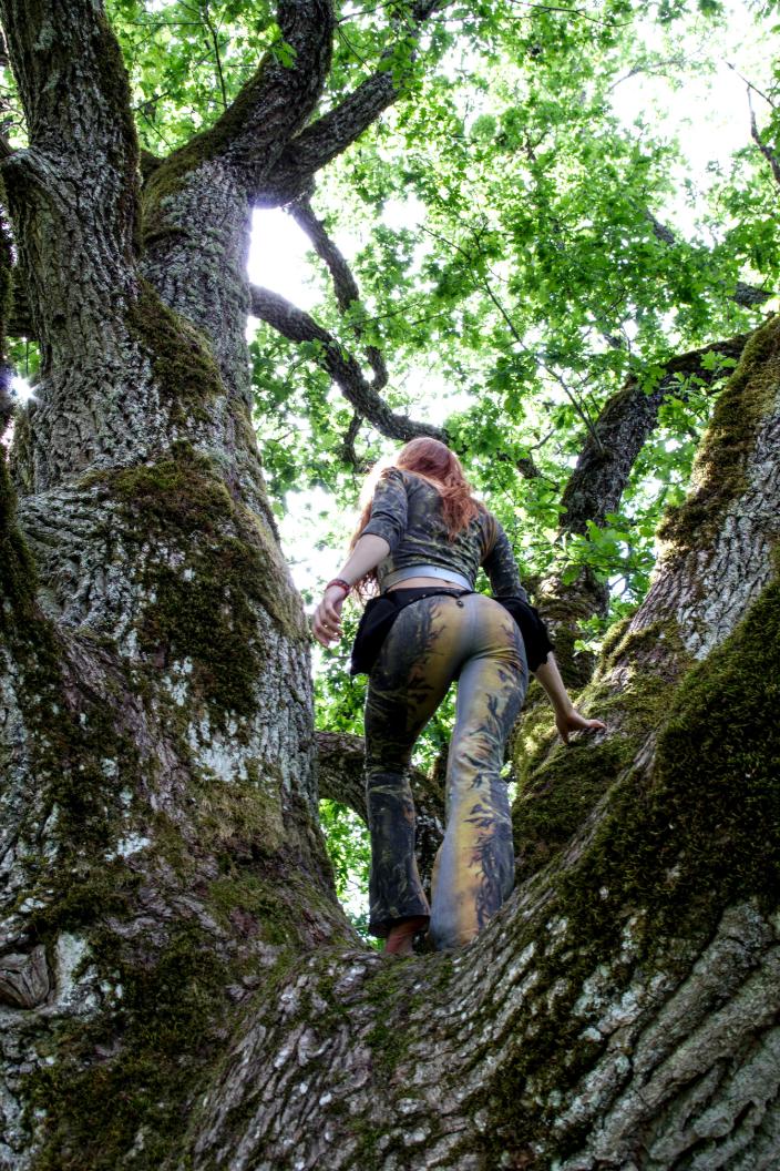 Gray tree moss full print pants set