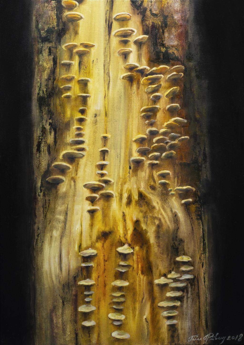 The split-gill mushroom (Schizophyllum commune) - oil painting by Tiiu Piibur