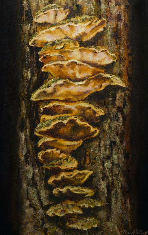The Sulphur Polypore Fungus oil painting by Tiiu Piibur