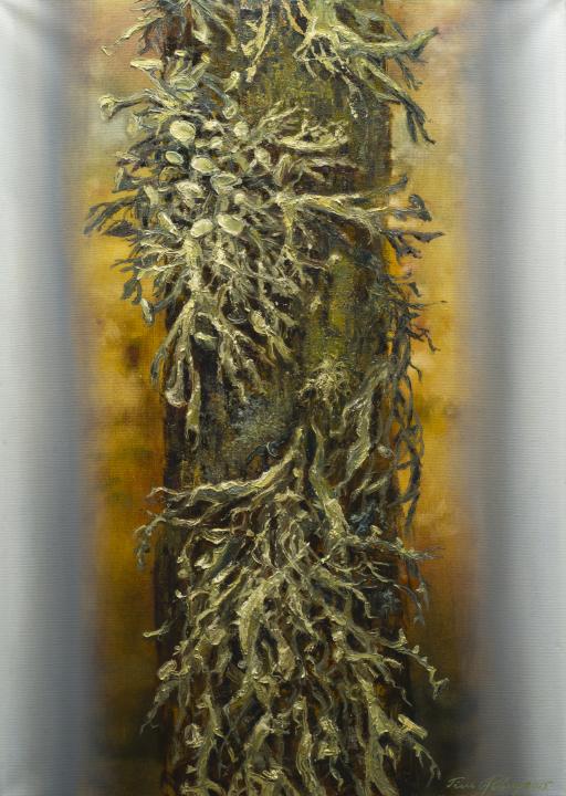 Pseudevernia furfuracea, tree moss oil painting by the artist Tiiu Piibur