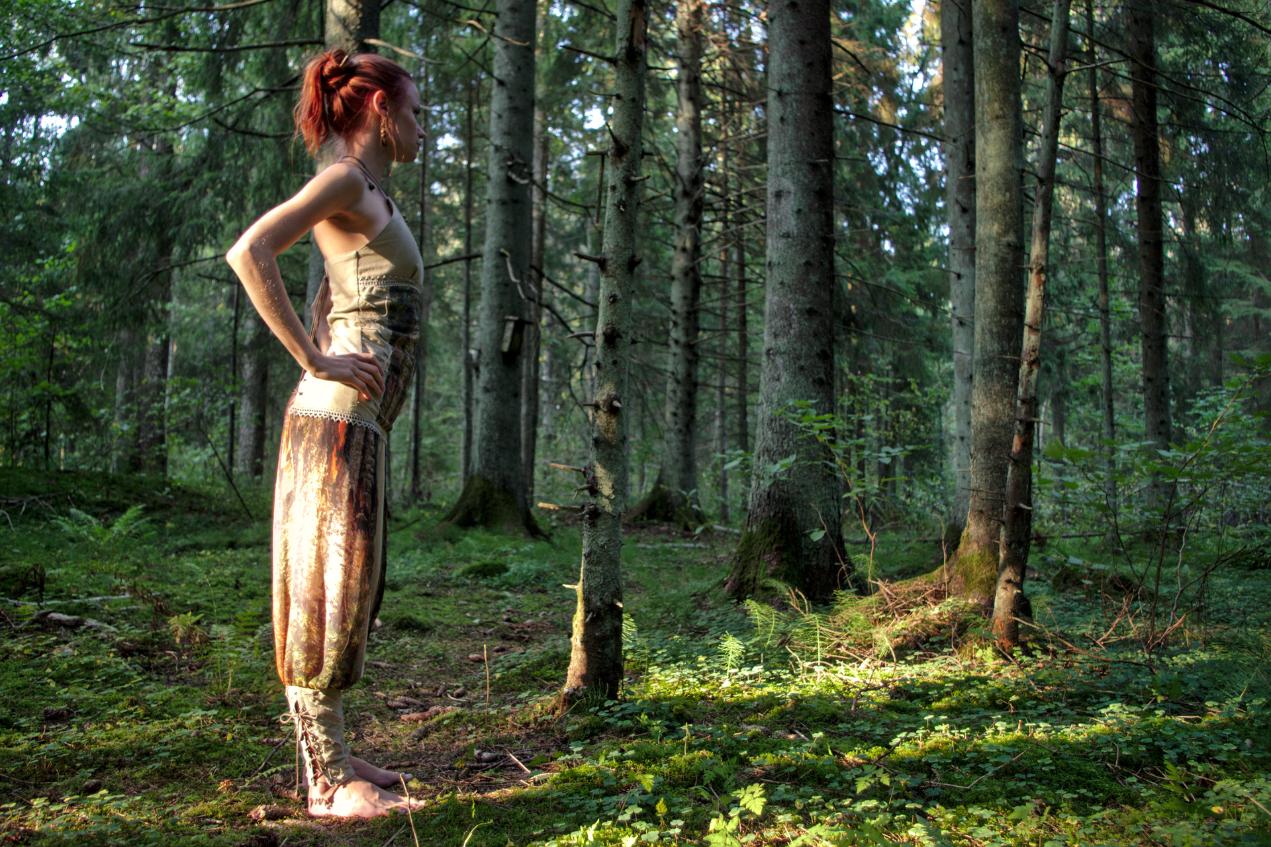 Nordic Empress Harem Pants Set