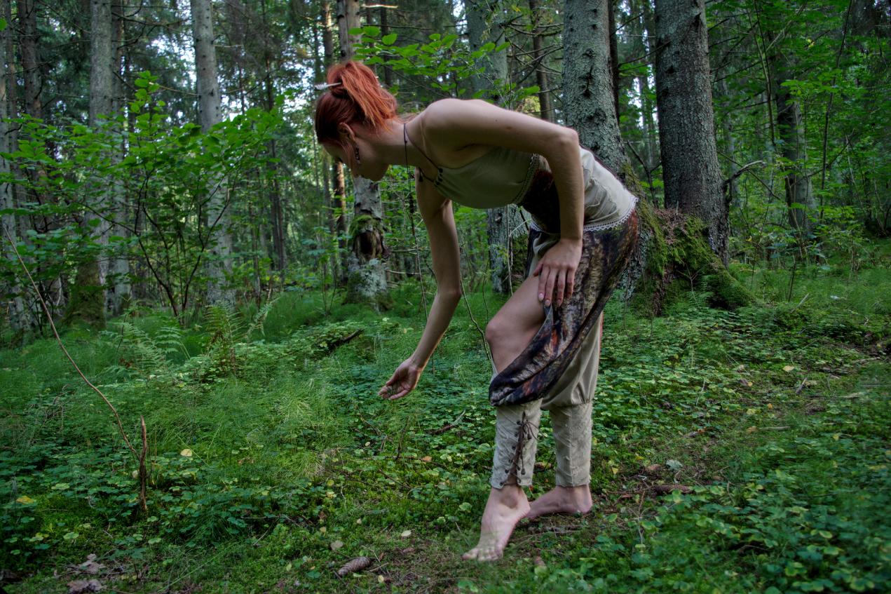 Nordic Empress Harem Pants Set
