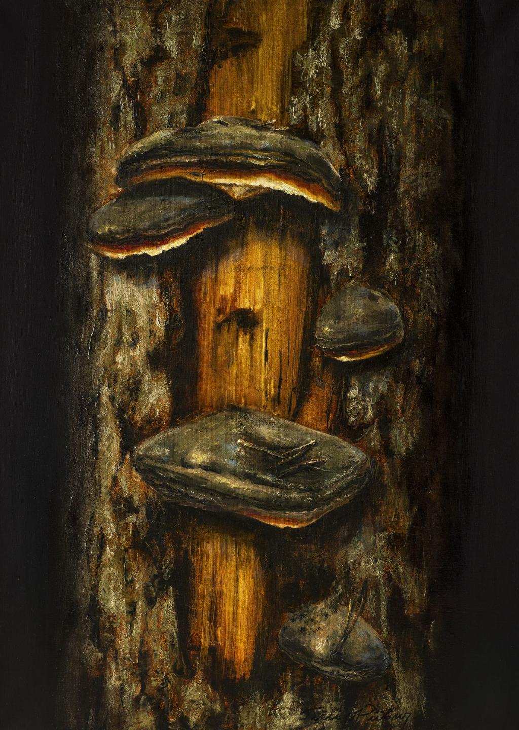 Tree fungus oil painting by Tiiu Piibur.